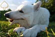 Load image into Gallery viewer, fallow antler dog chew