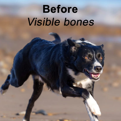 Muzzle Mass Venison Flavoured Weight Gainer for Dogs 1kg