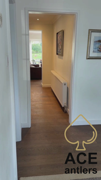 Whole Antlers for Dogs