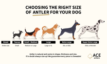 Load image into Gallery viewer, Deer antler dog chews size chart