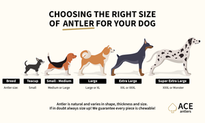 Deer antler dog chews size chart